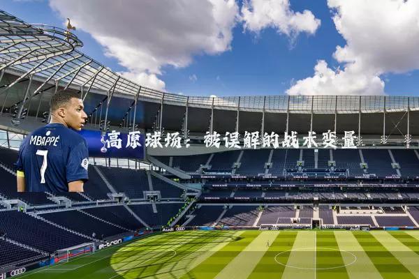 高原球场:被误解的战术变量